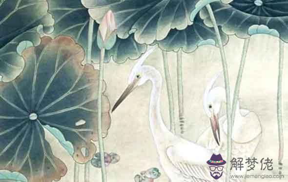 屬相年運：屬龍的人2021年愛情和婚姻不理想