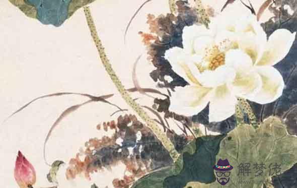 生肖年運：屬蛇的人2021年婚姻與愛情運勢解析