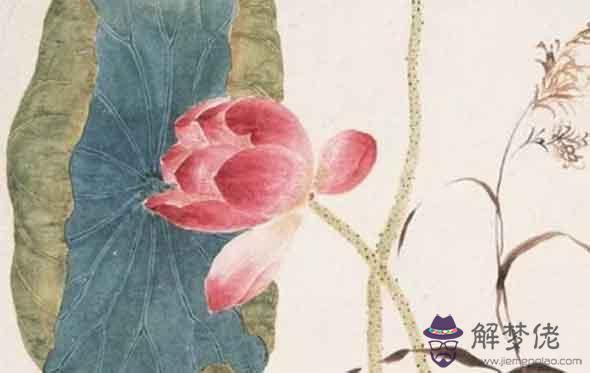 生肖年運：屬蛇的人2021年婚姻與愛情運勢解析