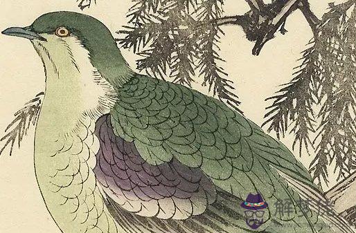 2010年午時出生的生肖屬虎人是什麼命,安分守己,平平安安