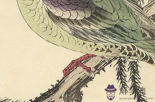 2010年午時出生的生肖屬虎人是什麼命,安分守己,平平安安