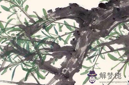 1965年巳時出生的生肖屬蛇人命好嗎,左右逢源,順順利利
