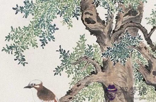 1945年卯時出生的生肖屬雞人是什麼命,安分守己,平平安安