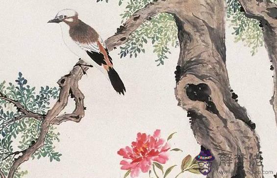 2020年8月生肖屬馬運勢,好遠慢慢回轉