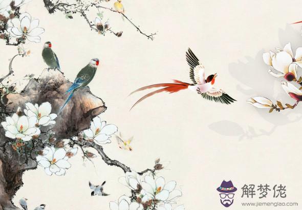 1951年丑時出生的生肖屬兔人是什麼命,注定命里多坎坷和挫折