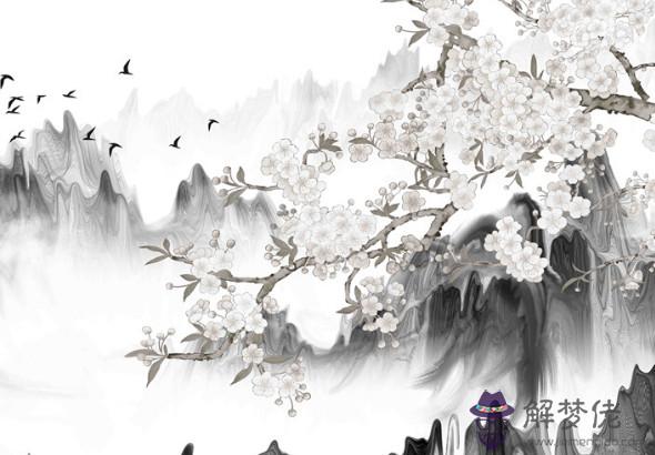 1963年丑時出生的生肖屬兔人命好嗎,前程一片錦繡,命中很多貴人