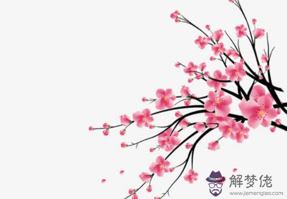 1975年丑時出生的生肖屬兔人是什麼命,有吉祥發達的命數,聰明出眾