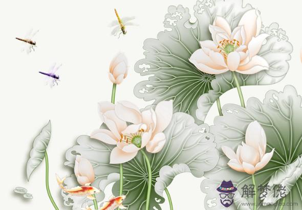 1962年丑時出生的生肖屬虎人命好嗎,命中財星保佑,一生不愁錢財