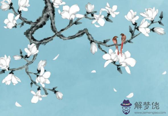 1974年丑時出生的生肖屬虎人命好嗎,早年不順,中晚年運氣蒸蒸日上