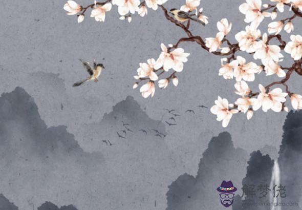 1988年子時出生的生肖屬龍人命好嗎,要麼富到極致,要麼碌碌無為