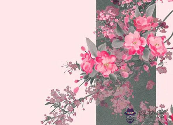 2020年3月生肖屬蛇人的感情運勢不順,應轉移注意力