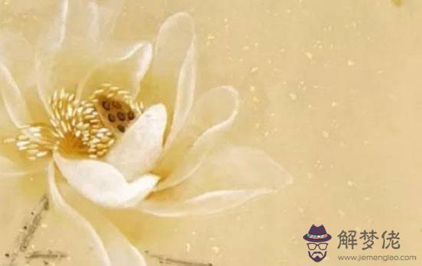 2020年2月生肖屬龍人的感情運勢偏差,宜多自省