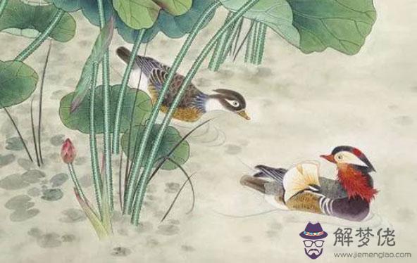 2020年2月生肖屬羊人的感情運勢較差,需適當的退讓