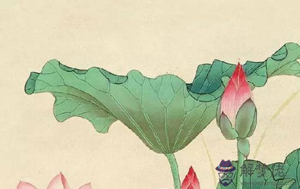 2020年2月生肖屬狗人的感情運勢尚可，仍有誤解需冷靜