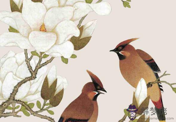 1996年子時出生的生肖屬鼠人命好嗎,有益財之命,晚年大興旺相