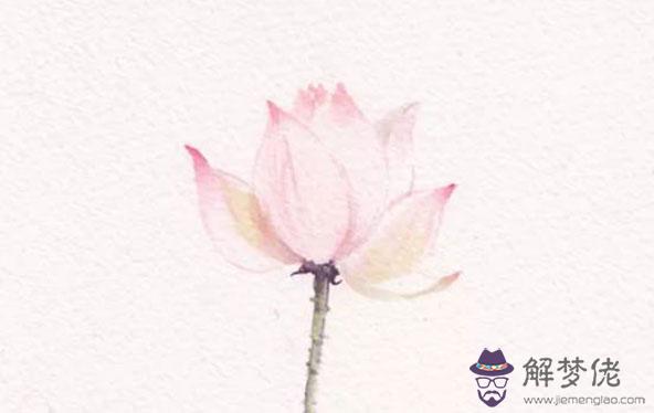 2020年2月生肖屬牛人的感情運勢有所下滑，多交流避免猜忌