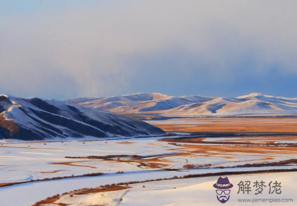 生肖屬龍的男人2020年事業運,多顆兇星來犯,事業多遇麻煩