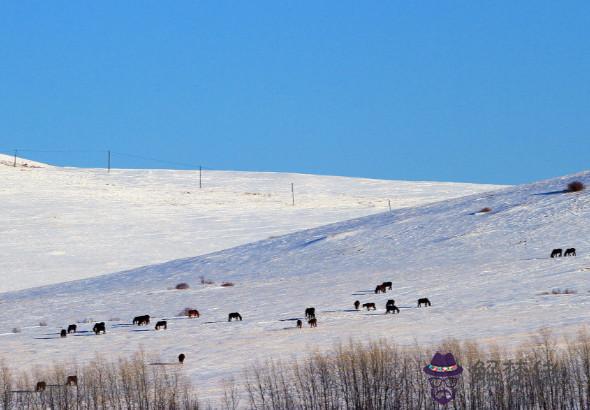 生肖屬蛇的男人2020年事業運，吉星強化貴人運，事業發展迅速