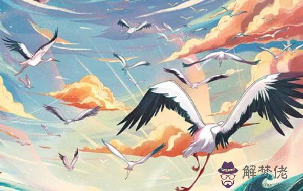 生肖屬馬的女人在2020年財運,事業成就高,金錢收入高