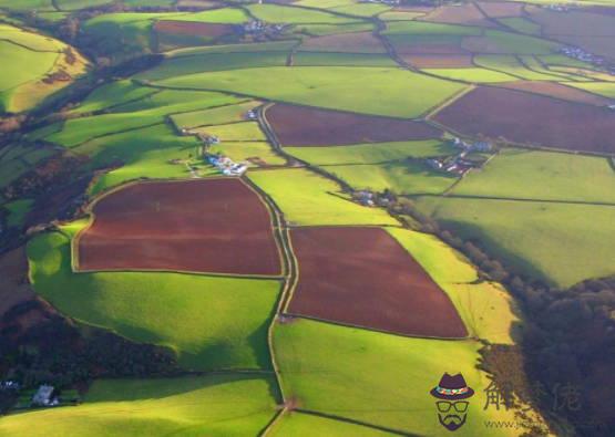 生肖屬鼠的女人2020年桃花運,運勢極佳,多遇優質桃花