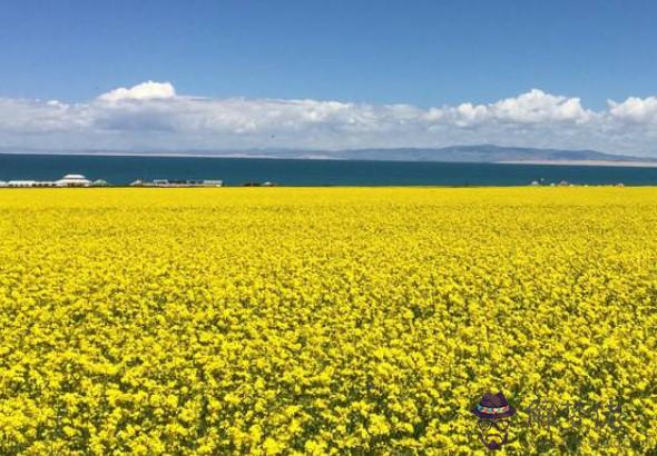 生肖屬蛇的男人2020年貴人運，月德貴人入宮，潤滑人際關系