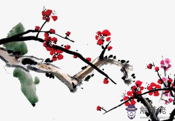 宋韶光解析2020年生肖雞事業運，個人遇事猶豫，恐陷入困境