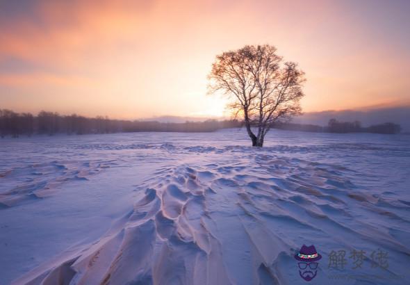 宋韶光2020年生肖屬兔每月運程,四月財運流失嚴重,六月全面回升