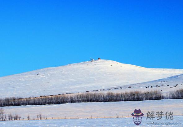 宋韶光解析2020年生肖鼠財運,本命年偏財運不佳,事業需克服困難