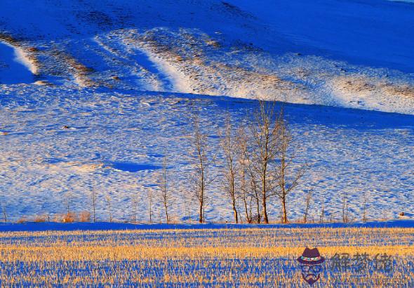 宋韶光解析2020年生肖鼠財運,本命年偏財運不佳,事業需克服困難