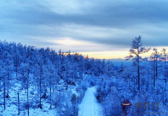 宋韶光解析2020年生肖牛財運,財運吉中藏兇,投資務必謹慎