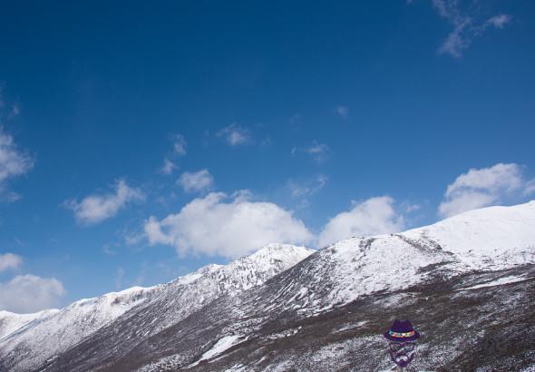 宋韶光解析2020年生肖兔財運,屬兔人財運沖擊較大,意外支出增多