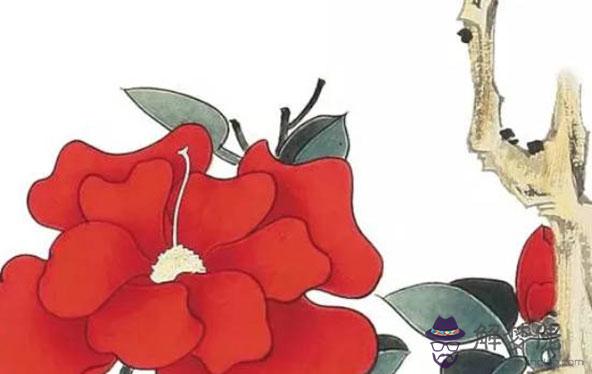 2020年2月生肖屬豬人的事業運在逐步回升，宜按部就班的工作