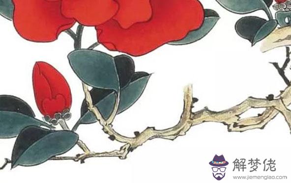 2020年2月生肖屬豬人的事業運在逐步回升，宜按部就班的工作