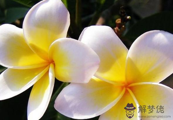 2020庚子年農歷十一月出生的鼠寶寶命運,命中藏財,天生富貴命格