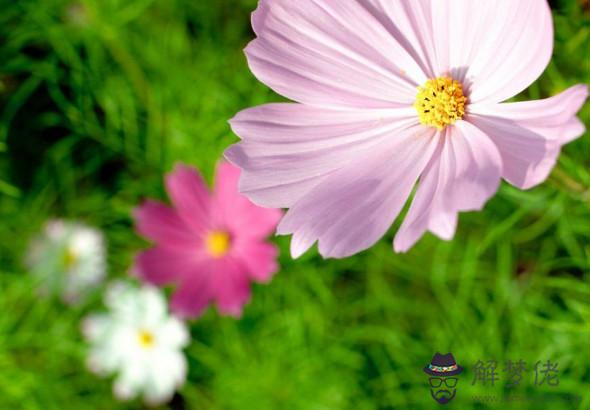 2020年3月財運最好的生肖，屬兔人3月里賺錢順利又輕松