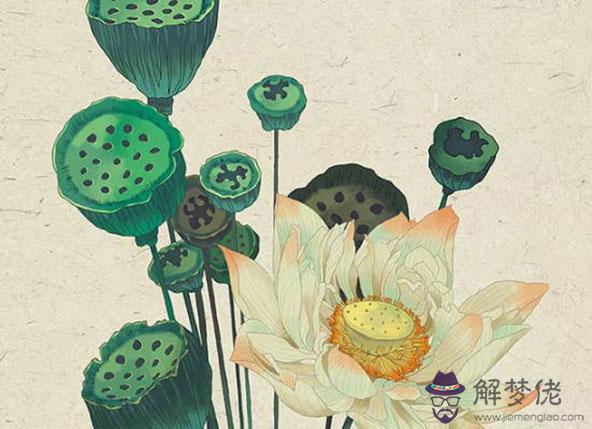 2020鼠年生肖屬豬人的事業運,吉利年,發財的機會很多