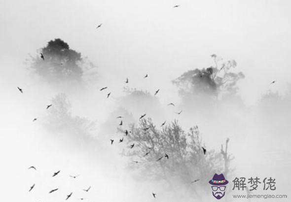 2020年1月桃花運最好的生肖,屬雞人主動就會有故事