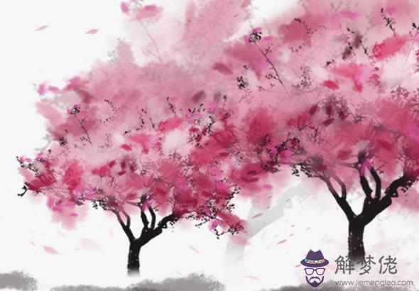 2020年出生的男孩多還是女孩多,總體出生男孩幾率更大