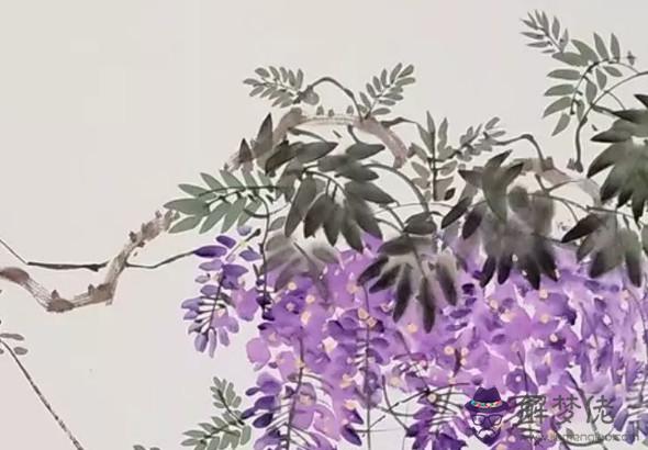 2020年鼠人運勢運程,運勢震蕩中走高,有所好轉