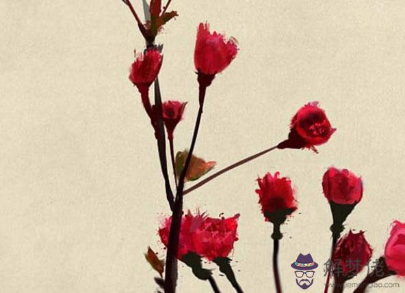 2020年生肖屬豬財運方位,亥卯未桃花位在子,桃花位為財方