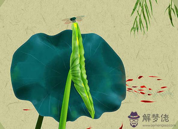 生肖屬虎人2020年要注意什麼,要掌握好主動的度