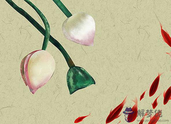 生肖屬兔人2020年要注意什麼,桃花來了要懂得把握分寸