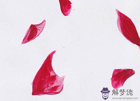 生肖屬豬人2020年要注意什麼,捂緊你的錢包快跑