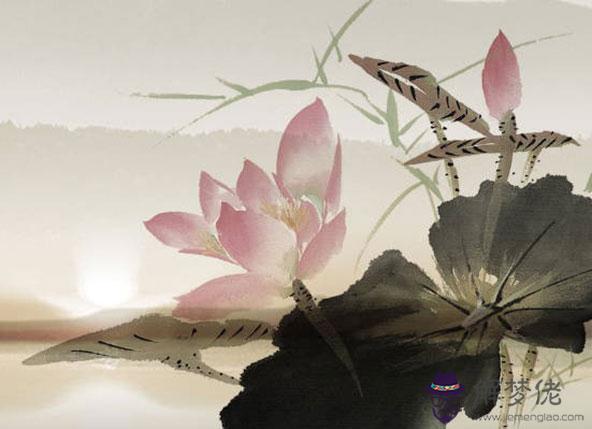 生肖屬兔媽媽和生肖屬蛇爸爸跟什麼生肖屬相的孩子不合