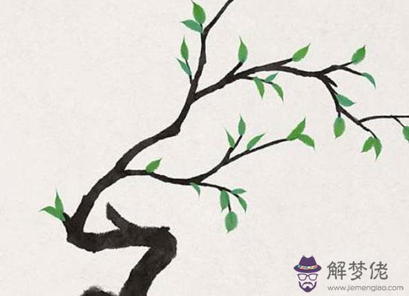 2020年生肖屬兔的婚姻感情運勢解析,紅鸞星入命有什麼影響