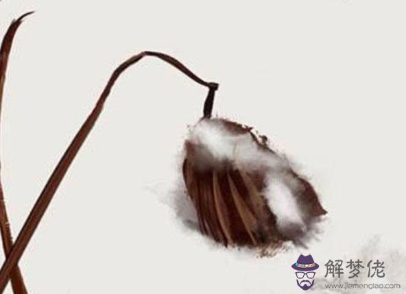 2020年生肖屬雞的婚姻感情,進入鼠年感情開始步入平穩融洽