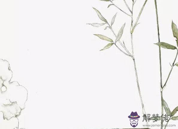 2020鼠年４月生肖屬狗人的運勢好嗎，整體一般需注意欲速不達