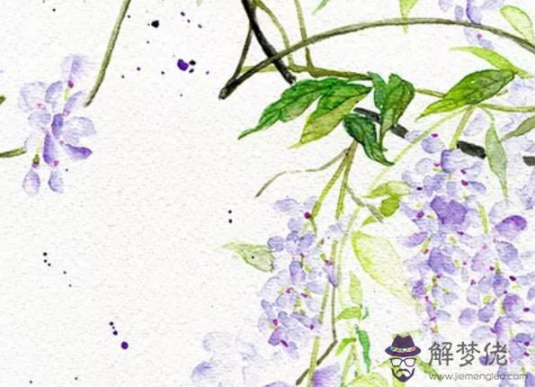 1980年生的40歲生肖猴人2020年運勢好嗎，多顆兇星存在