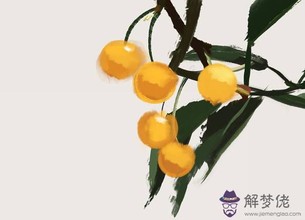 1954年生的66歲生肖馬人2020年運勢好嗎,低調做事、注意鍛煉