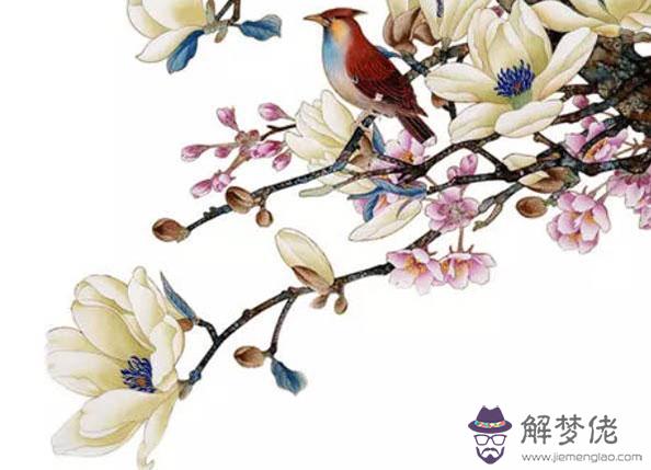 2020鼠年3月生肖屬牛人的桃花運好嗎，不太好且偏于工作